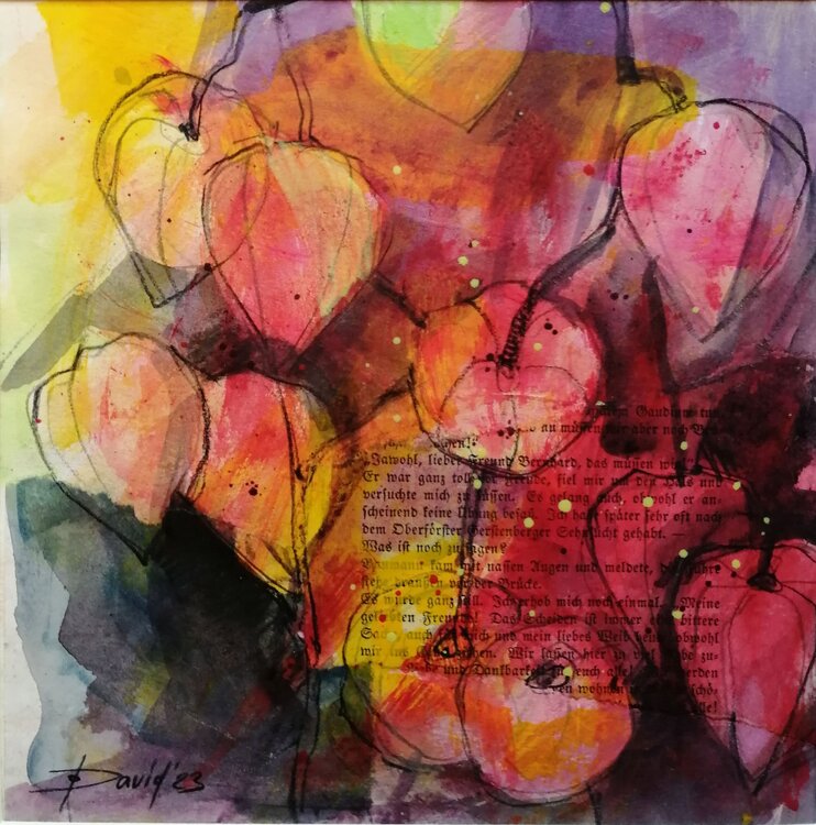 Lampionblumen Blumen Physalis Blüten Stillleben kleines Bild Olga David