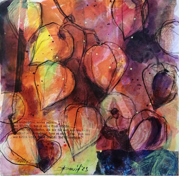 Lampionblumen Blumen Physalis Blüten Stillleben kleines Bild Olga David