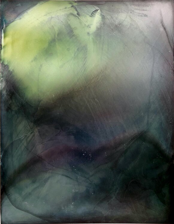 Rainforest Anna Savina
