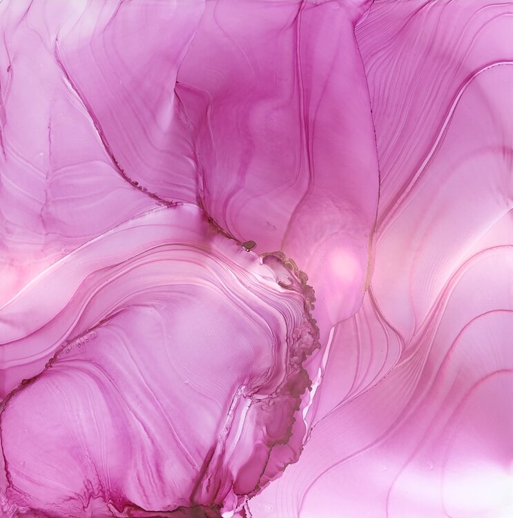 Tender Lines 1.4 Anna Savina