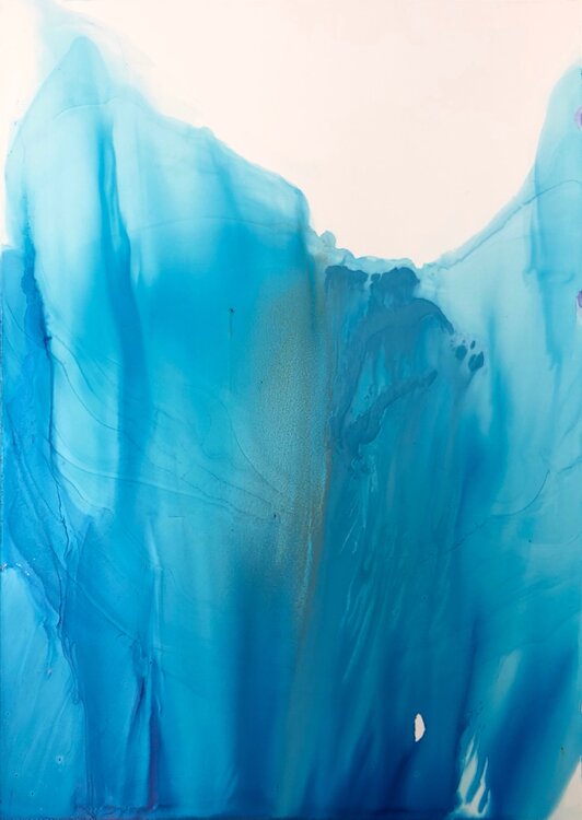 The last iceberg Anna Savina