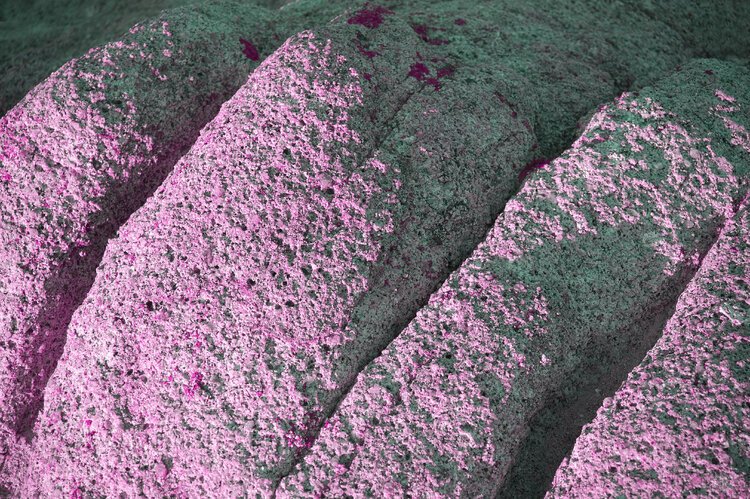 rocce e scogli n°9 Dario Nicolini