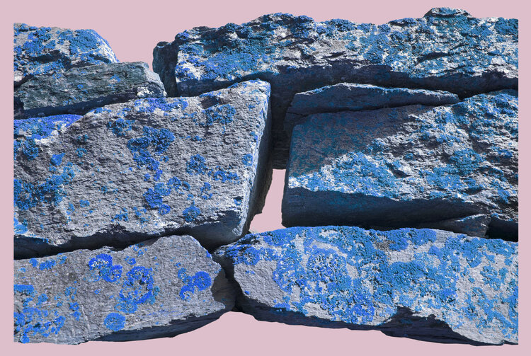 rocce e scogli n°11 Dario Nicolini