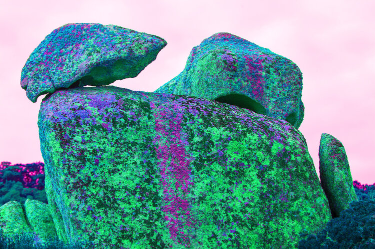 rocce e scogli n°16 Dario Nicolini