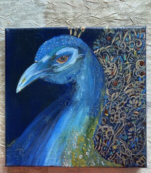 Paon Indien « Mor » 