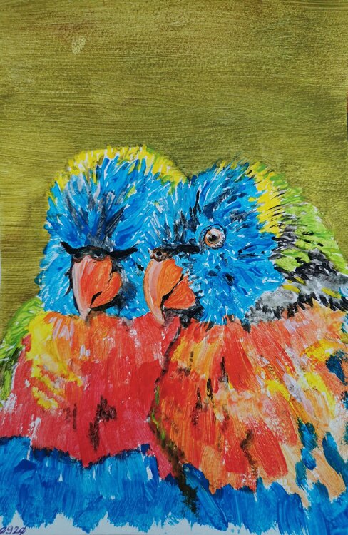 Australian Rainbow Lorikeets Dieter Becker