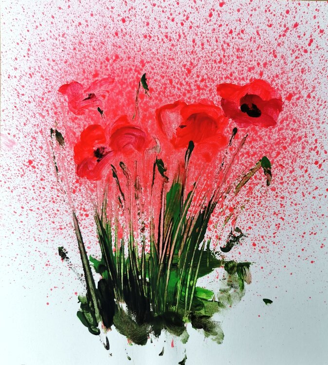 Mohn-Studie Dieter Becker