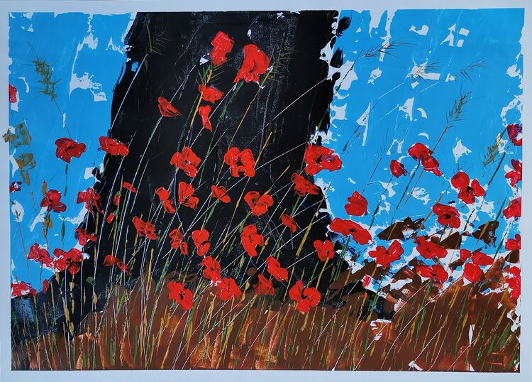 Toskana-Mohn Dieter Becker