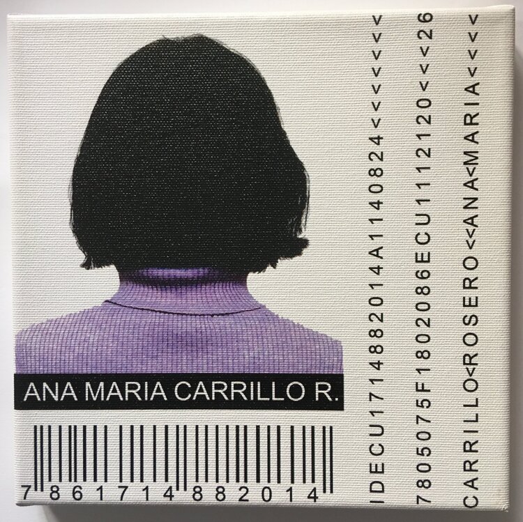 Estado de vigilancia. A. M. Isadora Willson