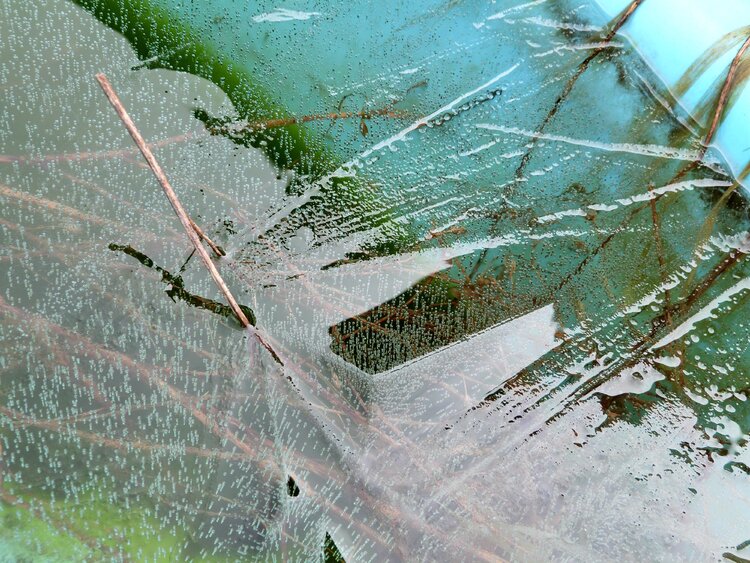 Bleu Ice Nele Doensen
