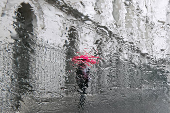 Le Parapluie fuschia Robert Bared