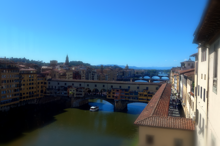 Firenze '22 - 14 David La Piovra