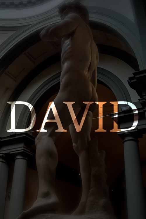 Firenze '22 - 15 David La Piovra