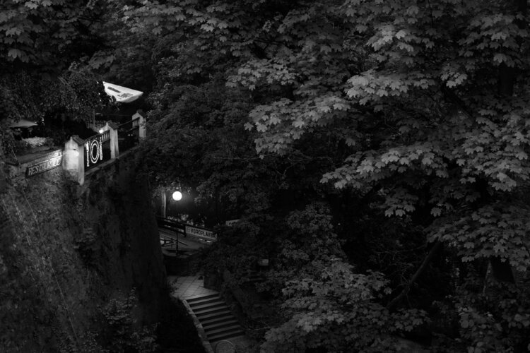 The Garden, Český Krumlov Matthew Garnett