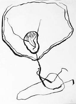 Bauchzeichnung v356 Robert Schlund