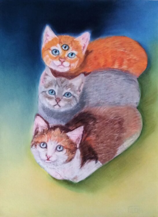 Trois petits chats Faten CHARNANA