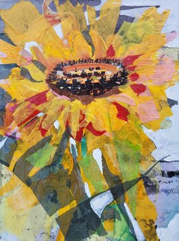 Sunflower council Agnethe Clemmensen