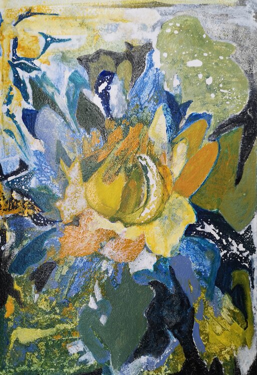 Water Lillies Agnethe Clemmensen