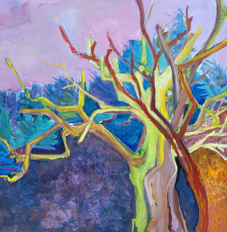 Lots of life in the dead tree Agnethe Clemmensen