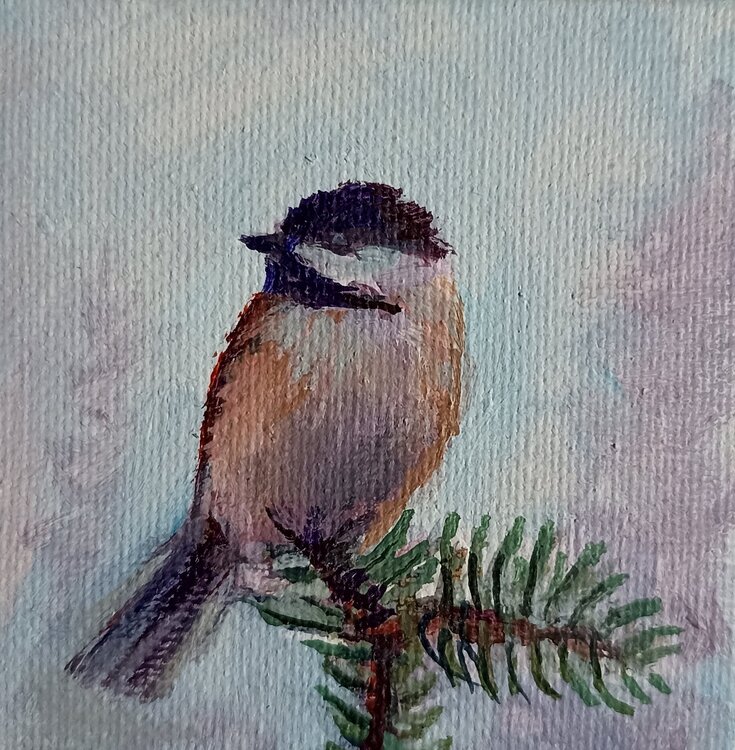 Petit oiseau Karen Martin