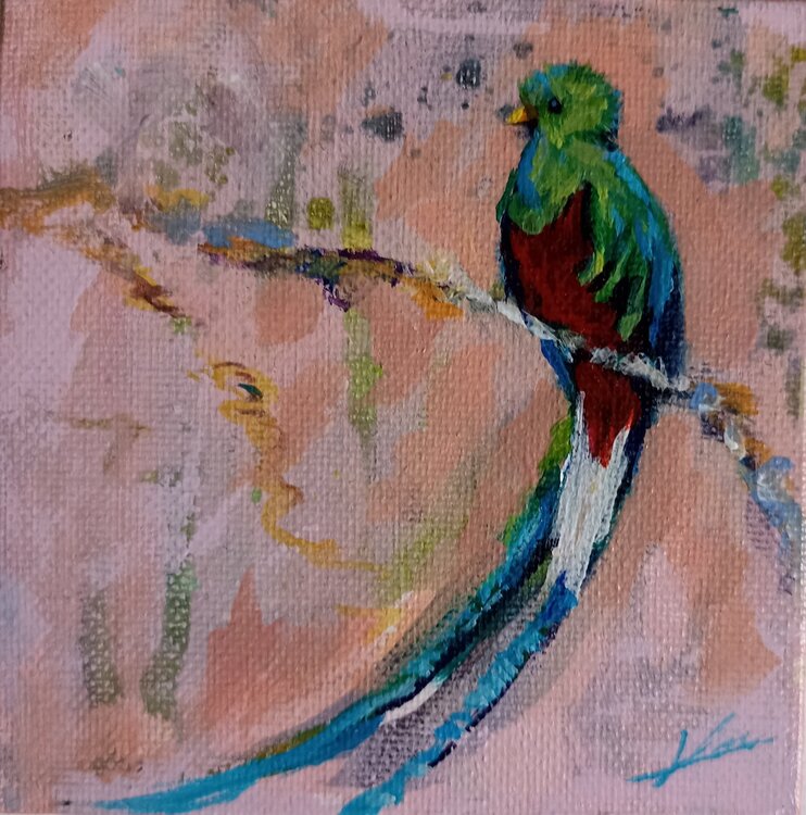 Quetzal Karen Martin