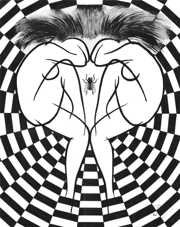 Arachnisses 2 Eric Heine