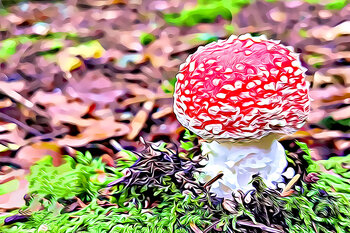 Automne Karen VARNET