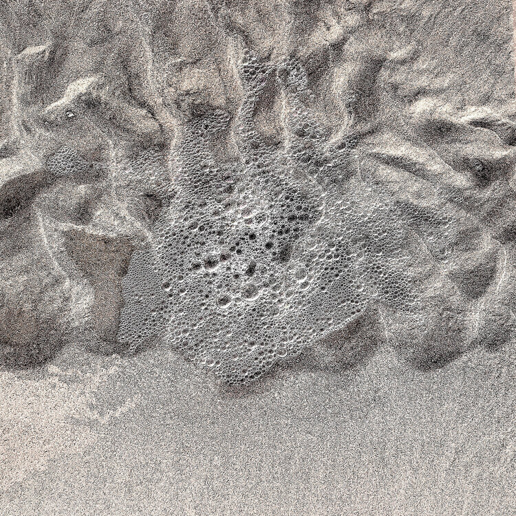 Phaeocytis globosa II Florian Reckert