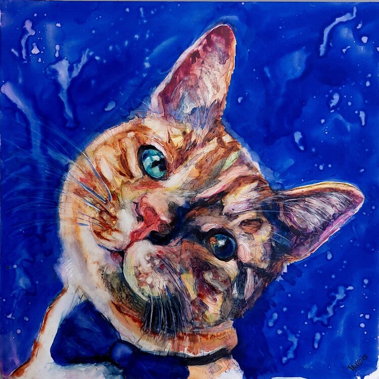 Portrait Orange cat Trudy Colette Herder