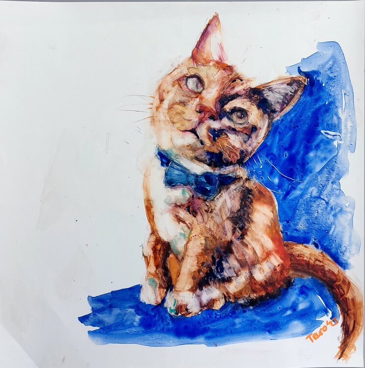 Full body Orange cat Trudy Colette Herder