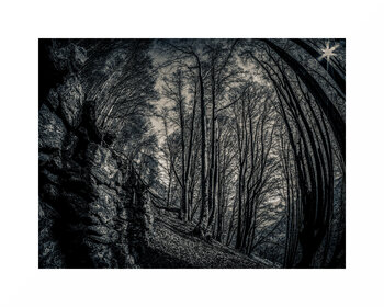 I BOSCHI DELLE FIABE 2° Eros Bottazzo