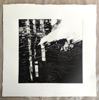 Les forêts noires 16 Karine Veyres