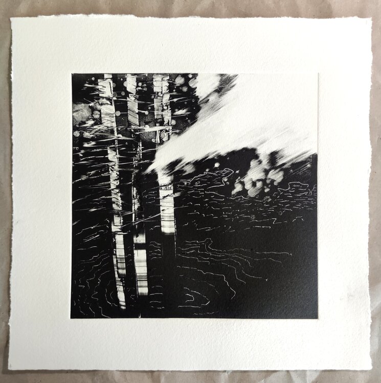 Les forêts noires 16 Karine Veyres