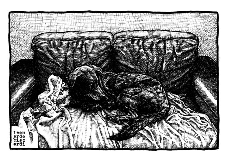 Diana - Venere canina Leonardo Biscardi