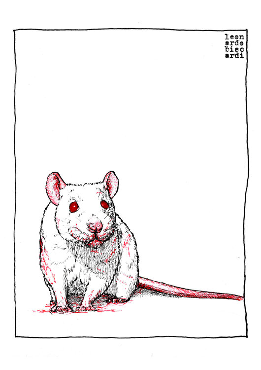 Ratto Leonardo Biscardi