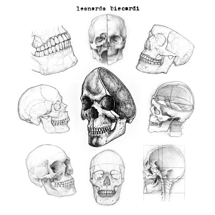 Teschi Leonardo Biscardi