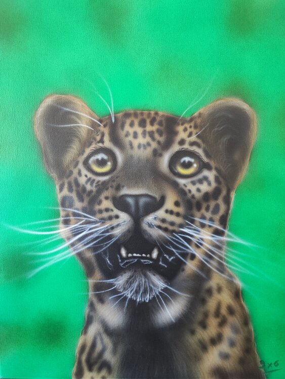 pleins de taches 3X6 Aéro