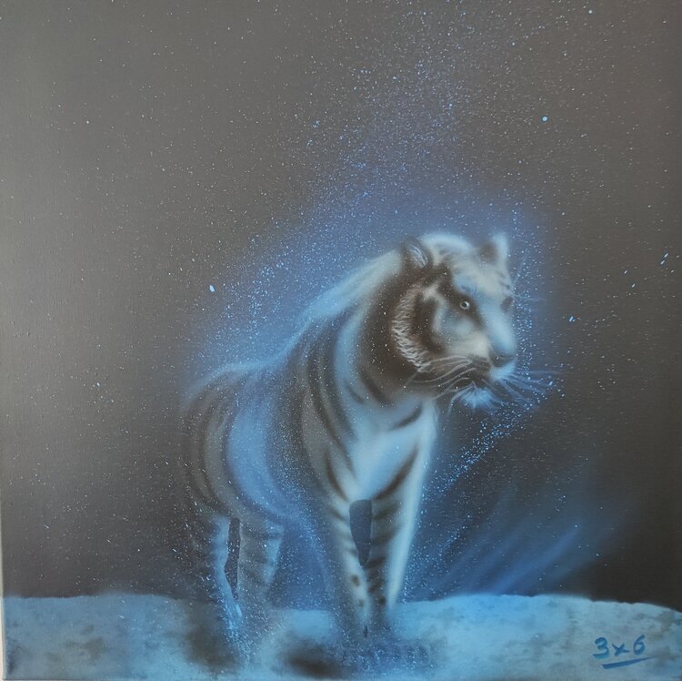 Blanc comme neige 3X6 Aéro