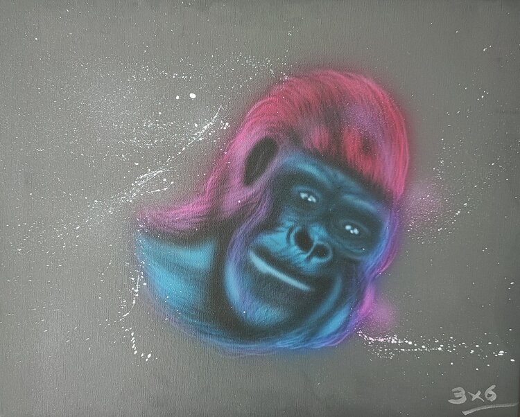 Le singe de l'espace 3X6 Aéro