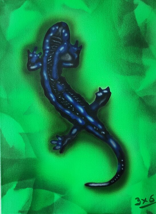 Salamandre 3X6 Aéro