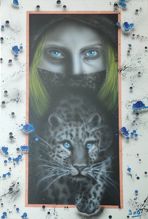 Furtive 3X6 Aéro
