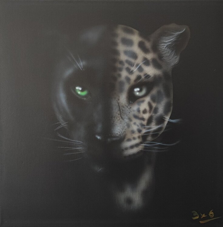 Félin pour l'autre 3X6 Aéro