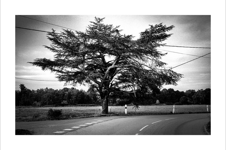 Virage Miguel Duvivier