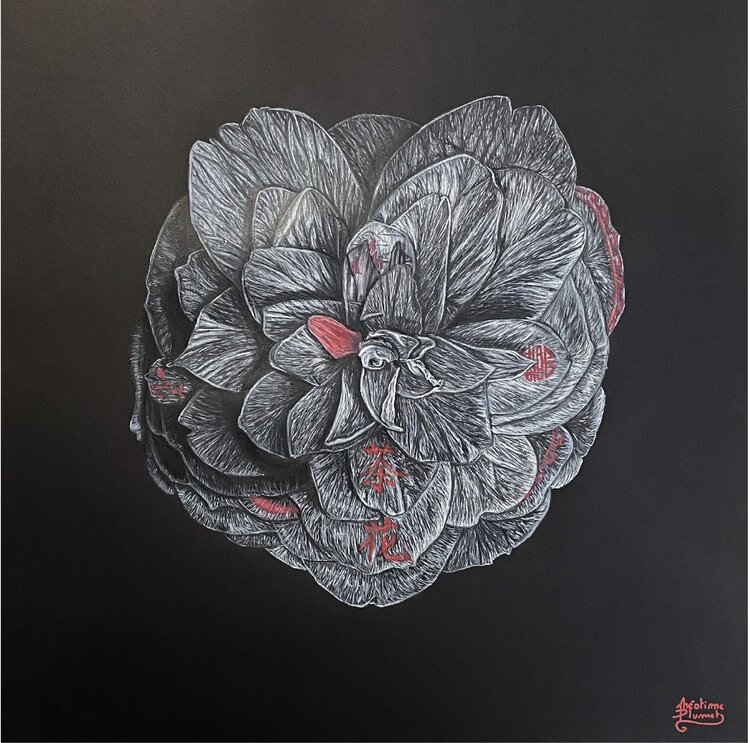 Camelia Théotime Plumet