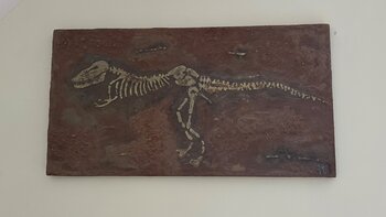 fossile 