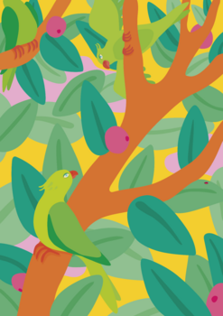 Jardin des plantes 