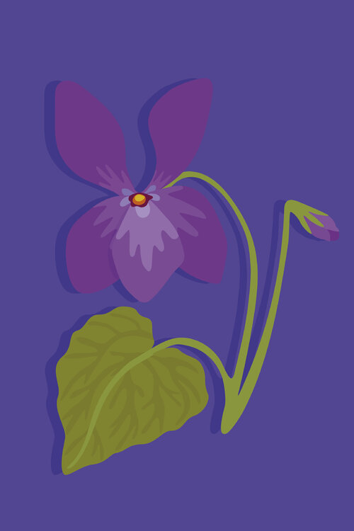 Violette Cornes de Gazelle