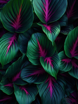 Colourful Leaves 3 Bilge Paksoylu