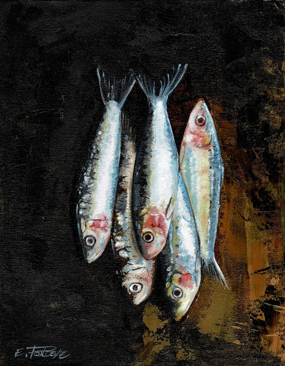 Les petites sardines. Emmanuel Pondevie