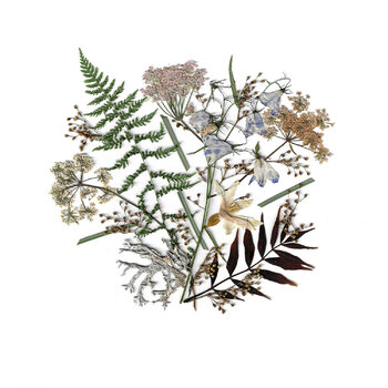 Flowers composition Ala Botnarescu